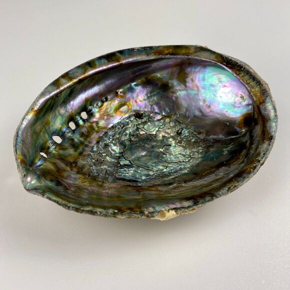 Abalone Shell 6”x5” Beautiful Display Piece Coastal Decor Trinket Dish Beach - Picture 2 of 12